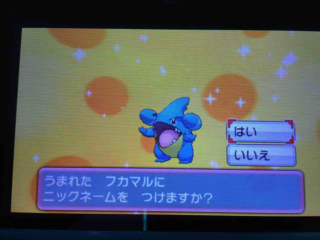 Oras国際孵化 No 443 フカマル 462個 そらのキセキ