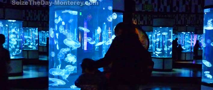 Monterey Bay Aquarium Coupon, Coupons and Discount Tickets!