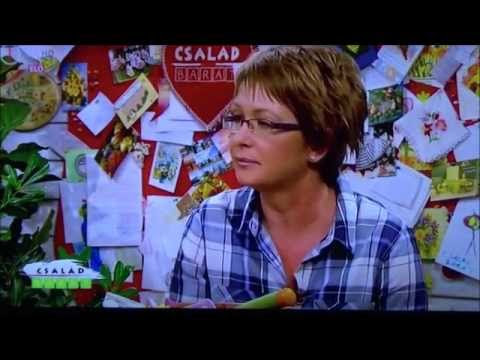 Kép