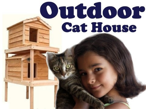 Found on outdoor-cathouse.com