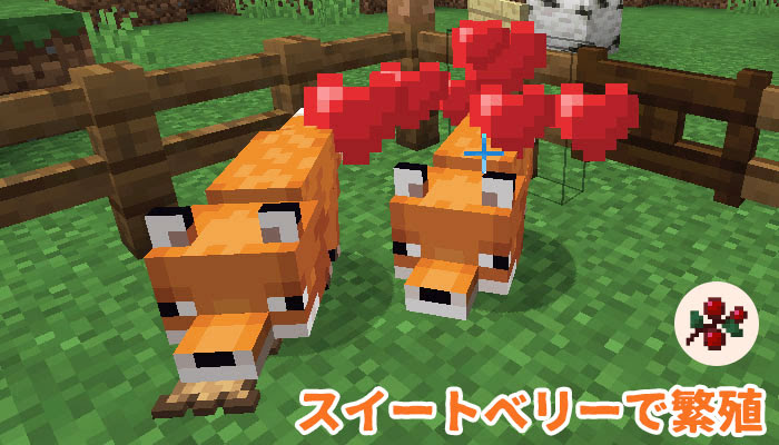 マイクラ キツネのスポーン地域と手懐け 繁殖方法 かわいいキツネのふるまいって マイクラモール