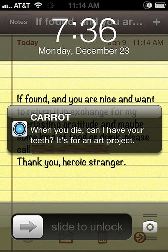 carrot