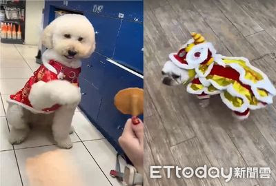 圖片