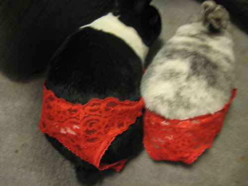 Remy and Lala know how to do Valentine's Right