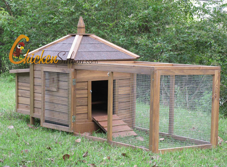 Backyard chicken coop - large and beautiful photos. Photo ...