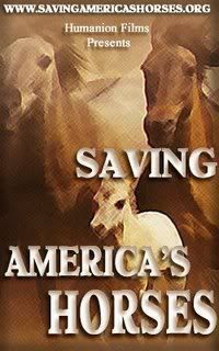 horses