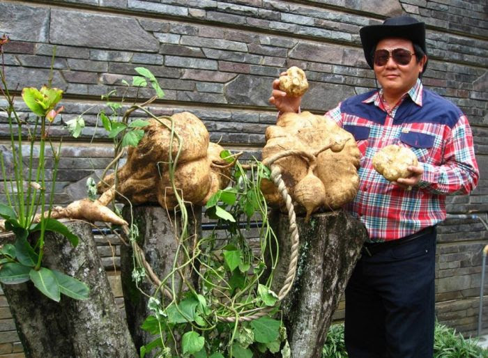 Foto Foto Yang Masuk Daftar Most Unique Guiness World Record.. [ www.BlogApaAja.com ]