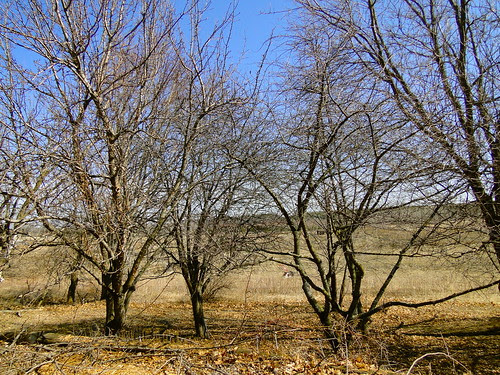 DSC00680