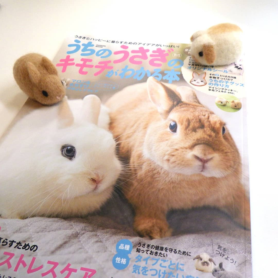 うちのうさぎのキモチがわかる本 のうさぎの羊毛フェルトマスコットの作り方誌面 マチル