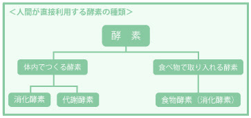 パパイヤ加工食品 マジェスティバランス