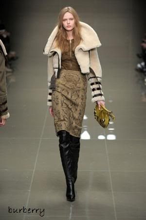 burberry