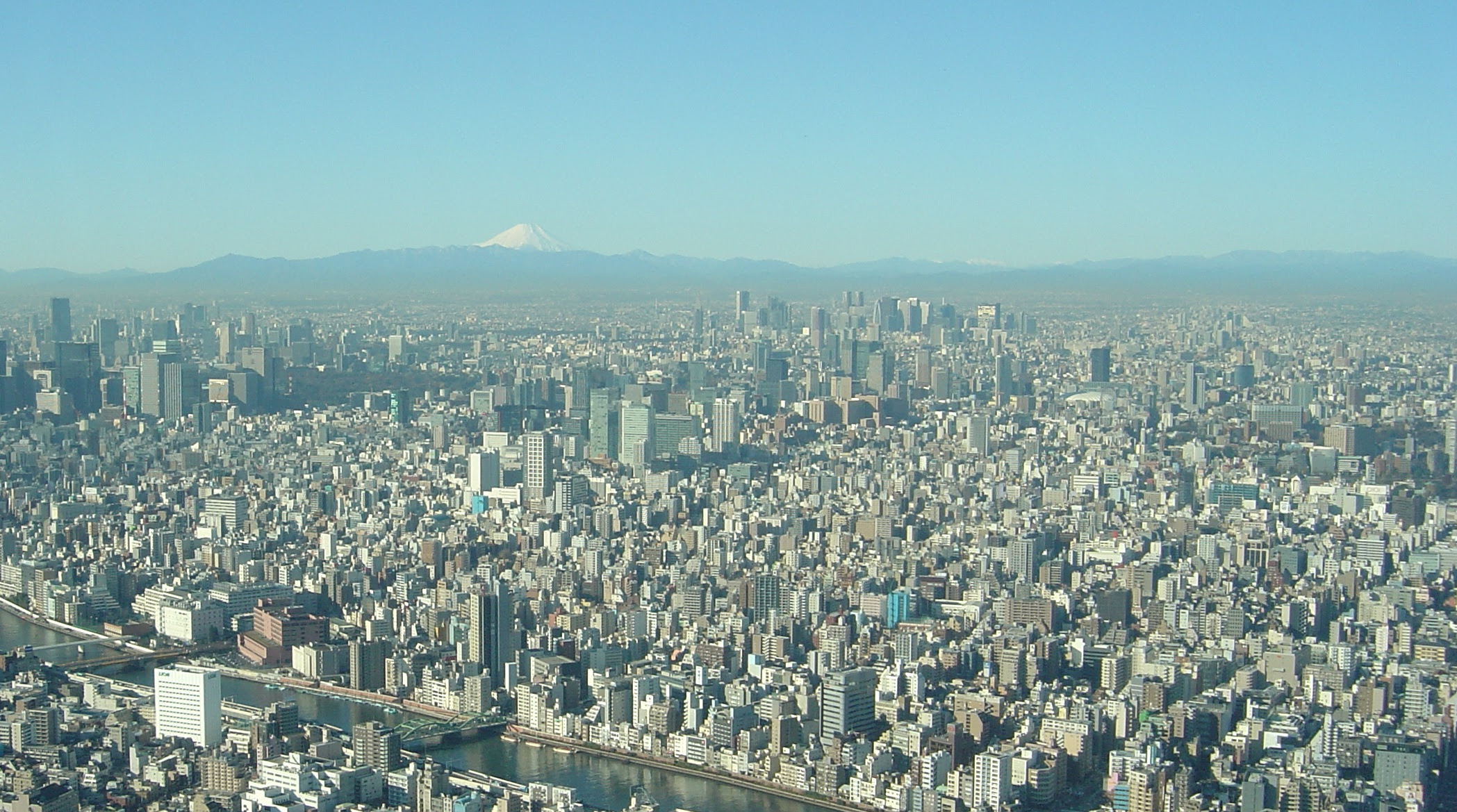 なぜ22年の東京に 人がいなかった のか 未来を見た女性の話 新世界より From The New World
