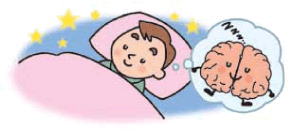 良い睡眠で快適生活 睡眠不足と生活習慣病