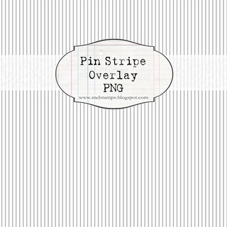 SAMPLE NOT FOR PRINT pin stripe overlay WHITE 12 and a half inch SQ 350dpi mel stampz