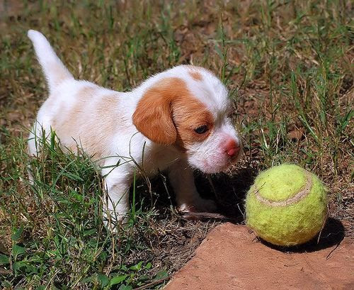 You hang in there it won't be too long before you'll be able to catch that ball!