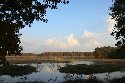 Marsh lake