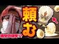 √無料でダウンロード！ ��ケモン サンムーン ワシボン 478737-ポケモン サンムーン ワシボン