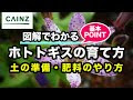 最高のコレクション 花 挿し木 やり方 100630-花 挿し木 やり方