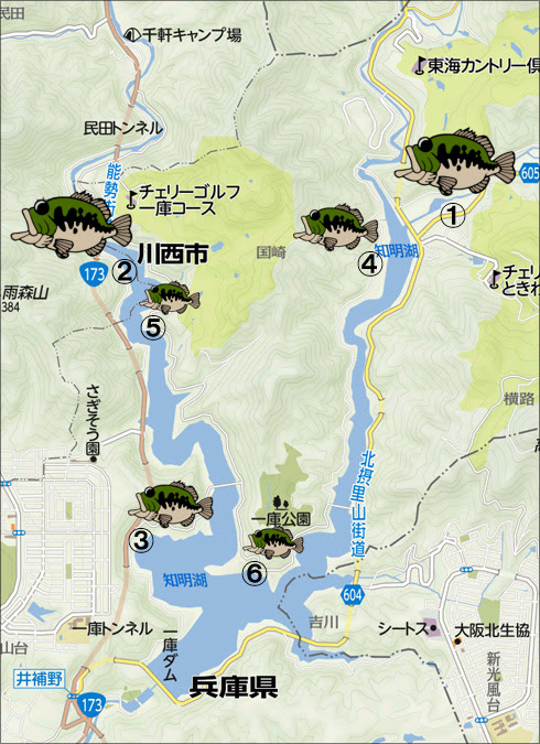 中絶 黒人 病気 高山 ダム バス 釣り おかっぱ り Luminous Nmt Jp