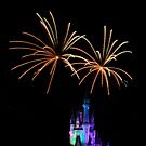 Wishes 01 by Mark Fendrick