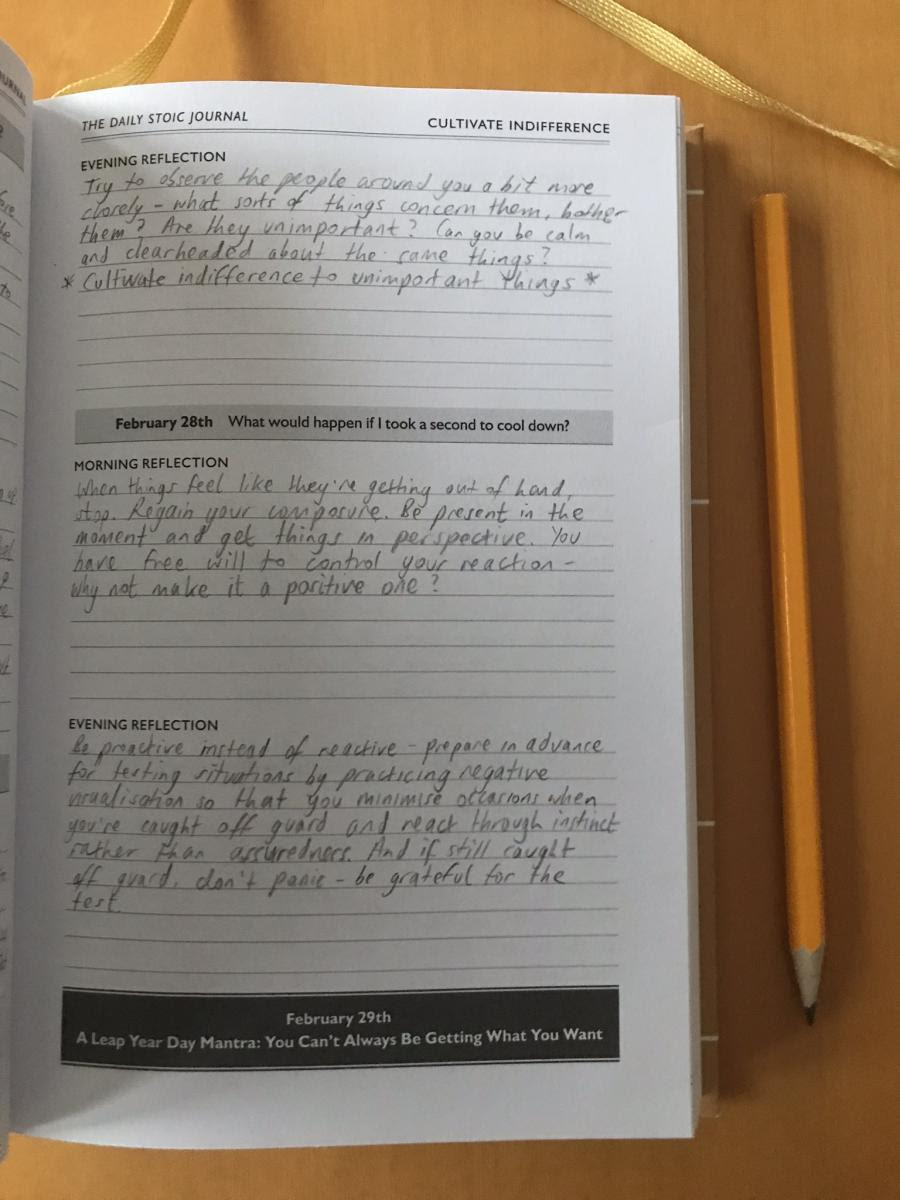 How to Keep a Stoic Journal - 7 Days of Example Entries 