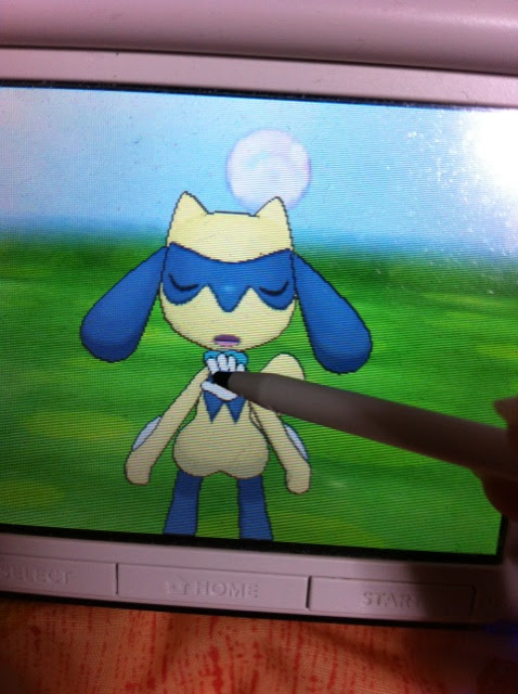 色違いに釘付け リオル Xy