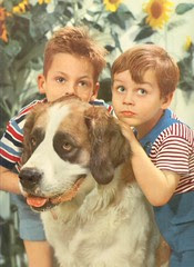 mag caractère 52 p17