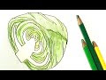 [最も人気のある！] キャベツ　イラスト 132569-キャベツ イラスト 手書き