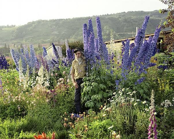 Joel Sternfeld, A Blind Man in His Garden, Homer, Alaska, July 1984, (from American Prospects Series)
