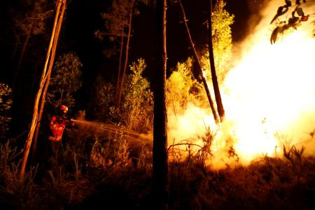 ポルトガル 山火事で６２人死亡 避難途中の車内で被害か １８日 ポルトガル中部の山火事で消火作業に当たる消防士 ロイター 共同 四国新聞社