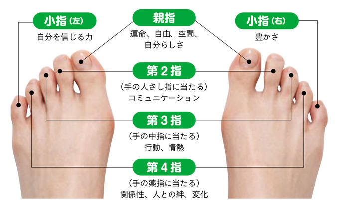 腹水 緊急処置方法こうすべき 腹水の処理 肝臓がんで腹水がたまった時の治療法 左の薬ゆびをつよくひっぱると尿がでます