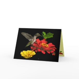 Hummingbird and Zinnias Thank You card