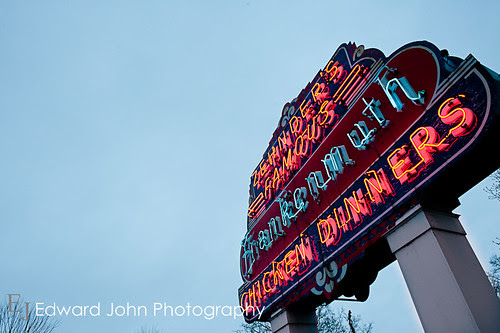 Frankenmuth Engagements