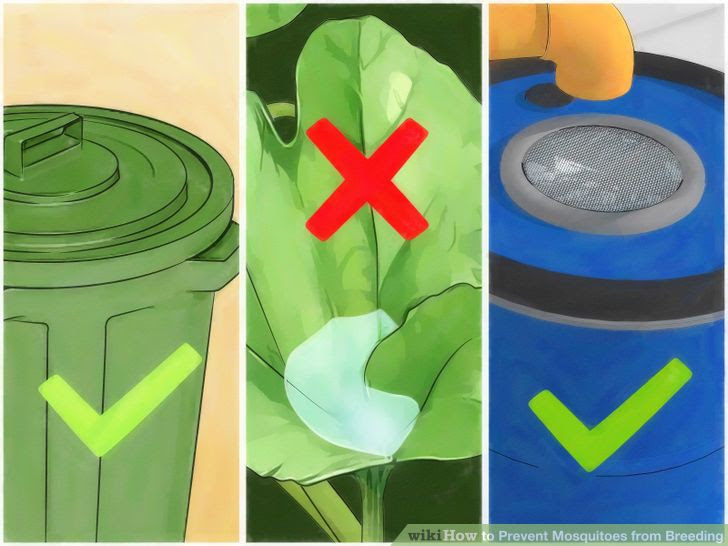 Prevent Mosquitoes from Breeding Step 7 Version 3.jpg
