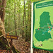 matang_kuching_0004