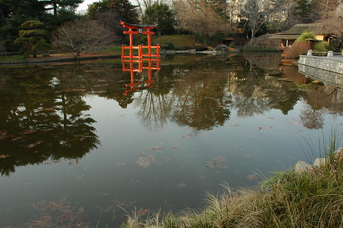 Pond