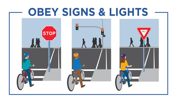 Bicycle Safety and Operation - BikeSafety ObeySignLight