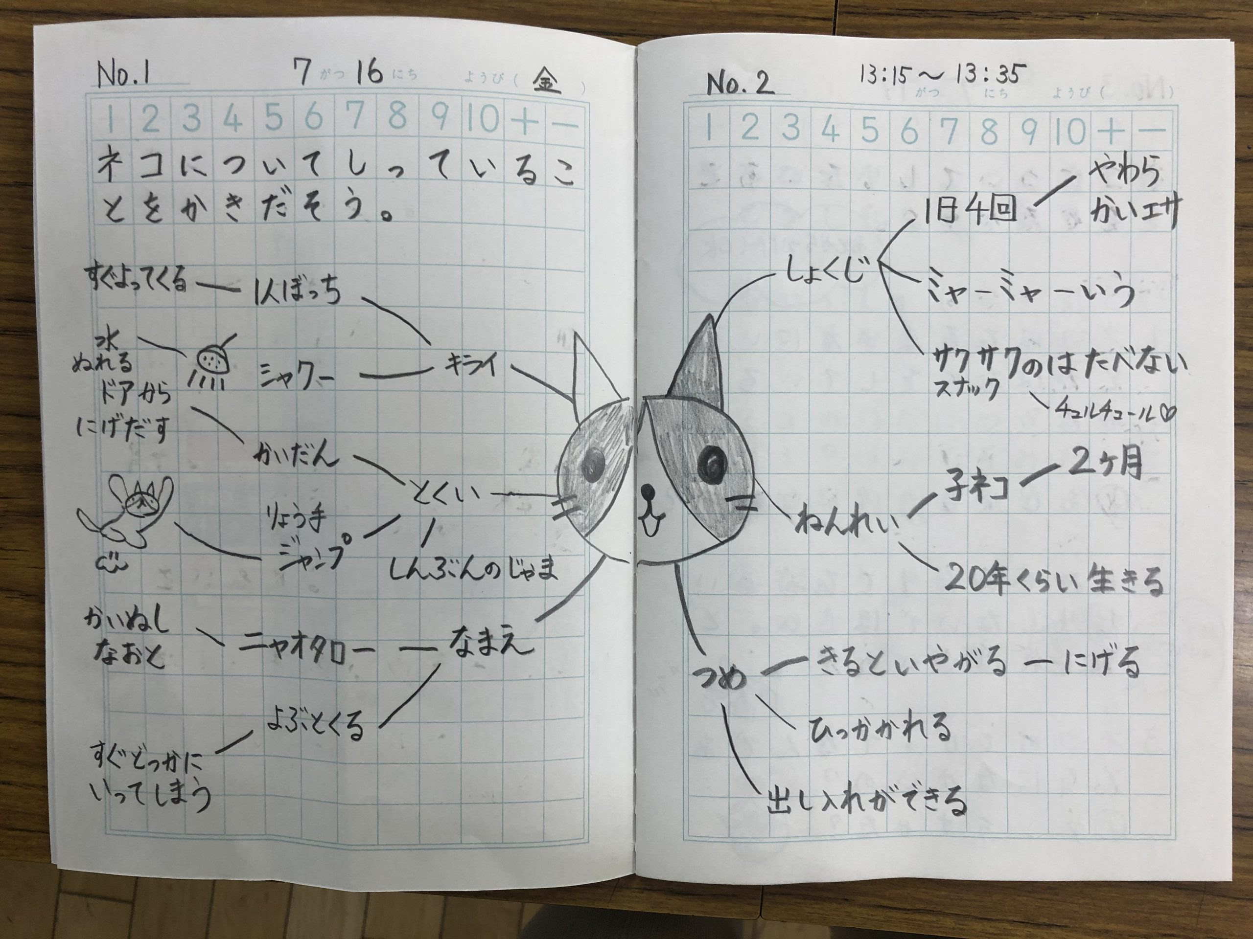 探究自学ノートをはじめました 知っていることを描き出すクモの巣マップ