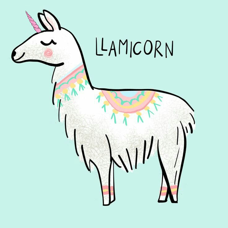 anime draw to how princess i horn llamacorn so llamas so love unicorn llamaicorn anime draw to how princess i horn llamacorn so llamas so love unicorn llamaicorn