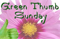 Green Thumb Sunday