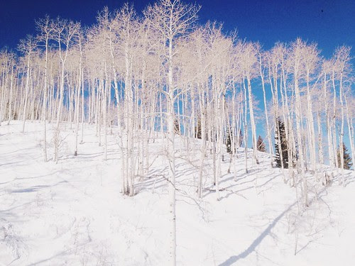 ski day // the little red house