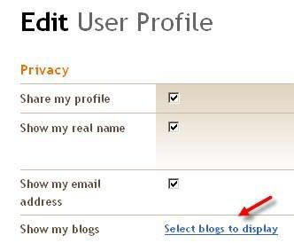 Restrict Blog Visibility In Blogger Profile