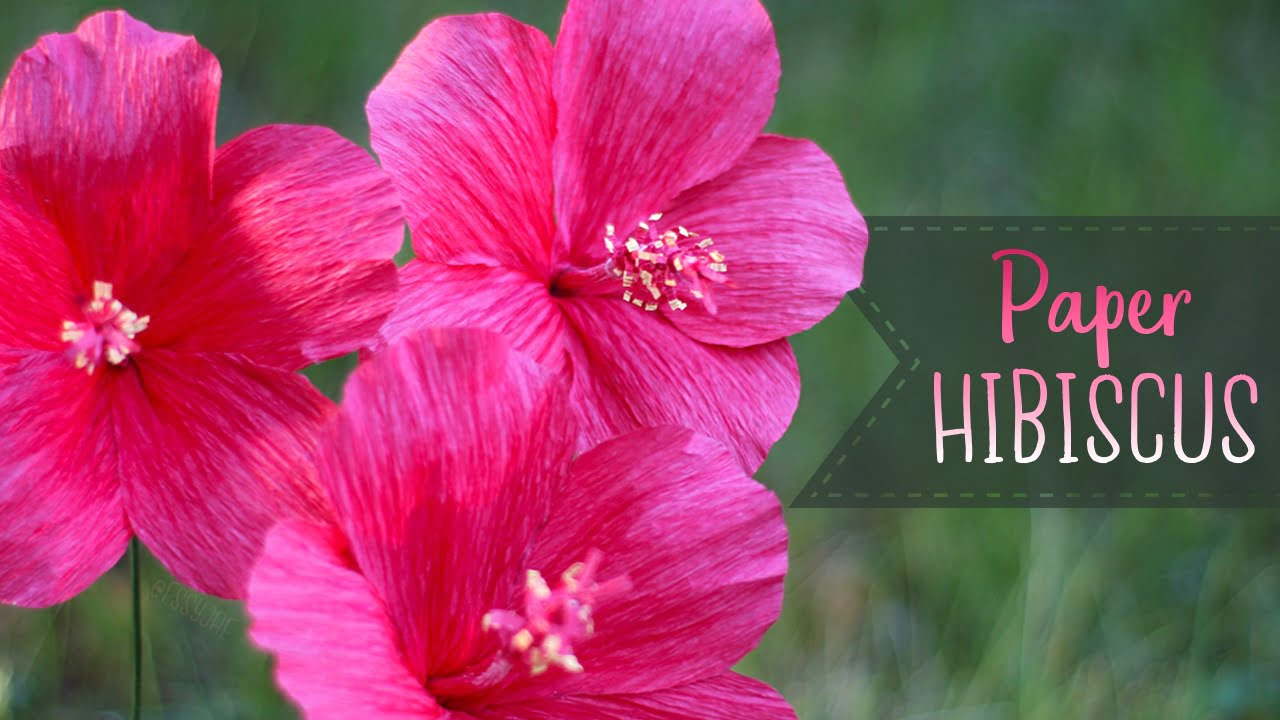 Crepe Paper Hibiscus Flower Tutorial - Essyjae