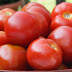 Starting Tomatoes Early : I've been performing this tomato trick for several years with great success and i'm.