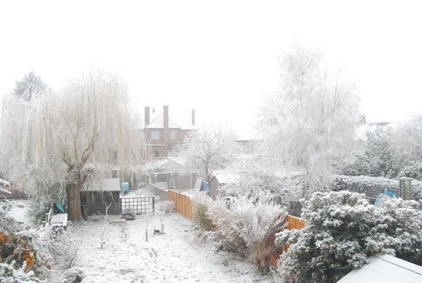 Winter Garden