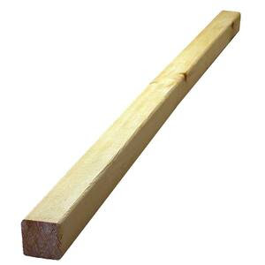 Home Depot Lumber Prices 1x10x8ceder on Script Section Containing Code For Liveperson Chat Solution