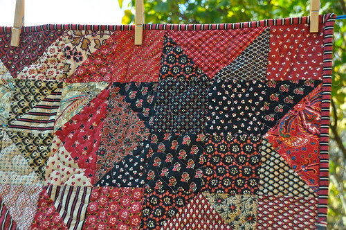 Detail Paprika