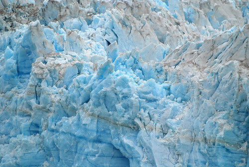 Glacier Bay Alaska 2007