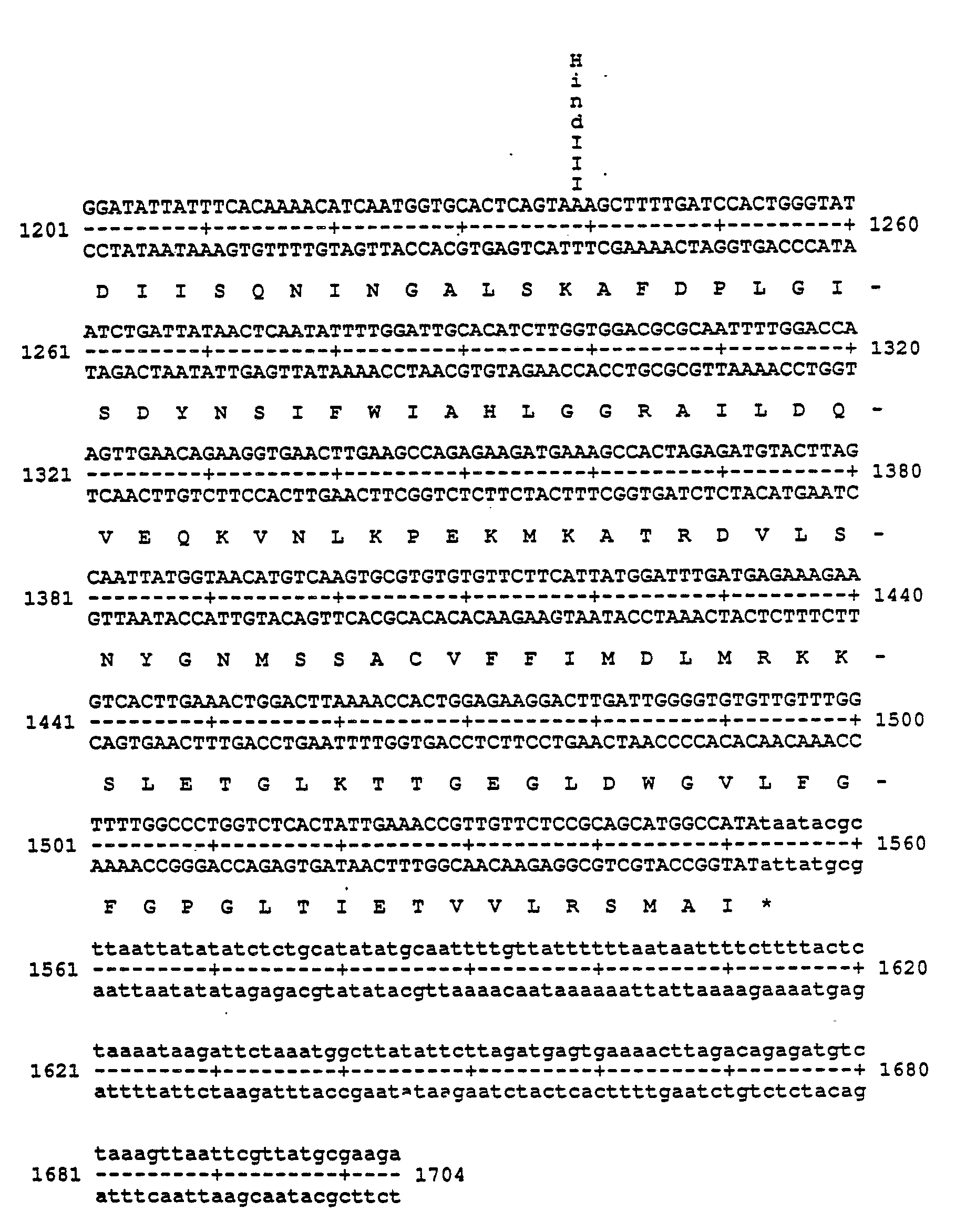 Proteinsequenz Wörterbuch Englisch-Deutsch