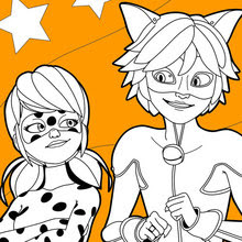 Coloriages Ladybug Et Chat Noir Fr Hellokids Com